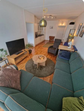 Tromsø sentrum apartment